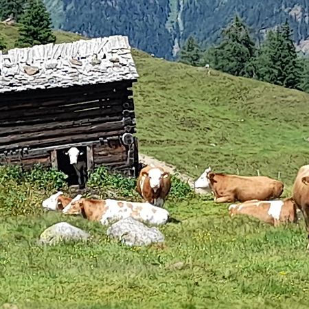 Ferienhaus Grofn Matrei in Osttirol Luaran gambar