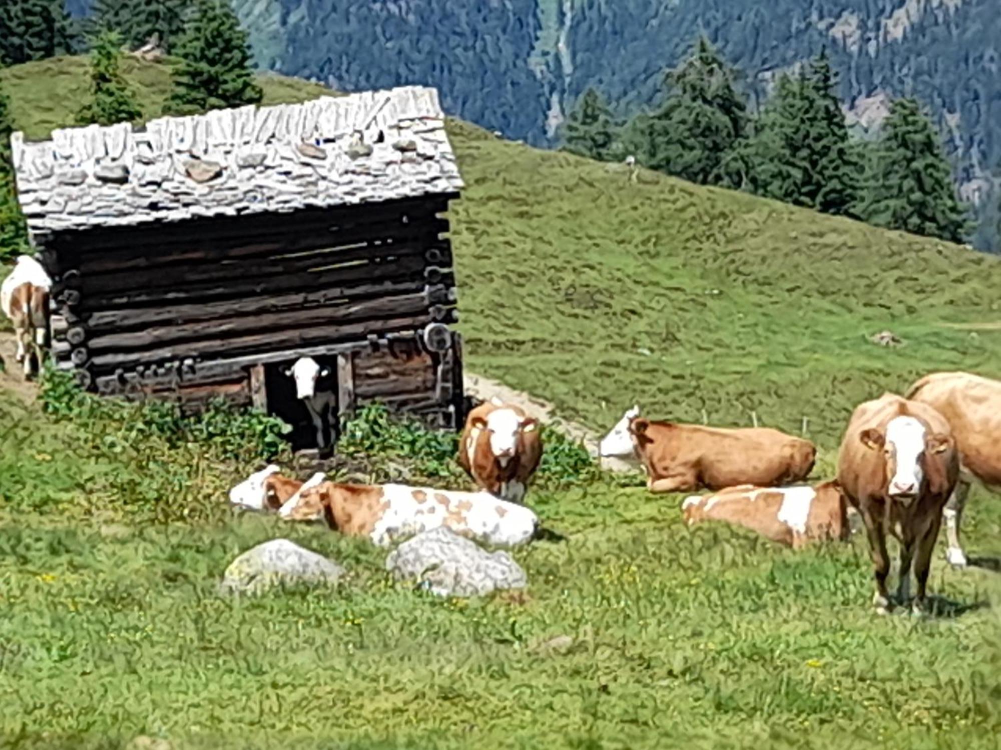 Ferienhaus Grofn Matrei in Osttirol Luaran gambar